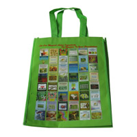 内蒙古LB11覆膜无纺布广告袋